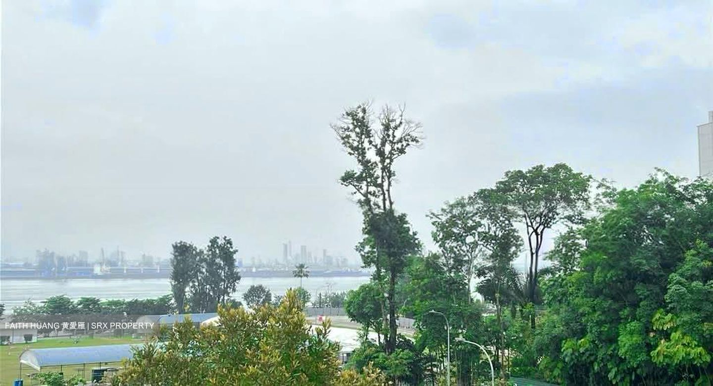 Ponggol Twenty-fourth Avenue (D19), Detached #568874191